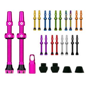 TUBELESS VENTIL MUC-OFF - V2