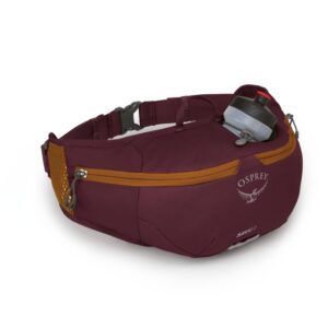 Torbica za okrog pasu Osprey Savu 2 - Image 3